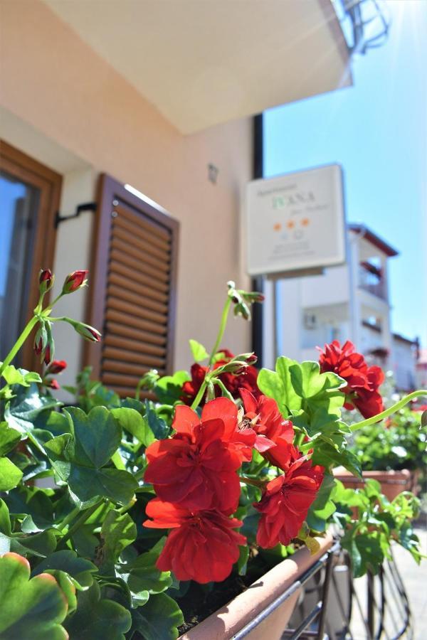 רוביני Apartments & Rooms Ivana חדר תמונה