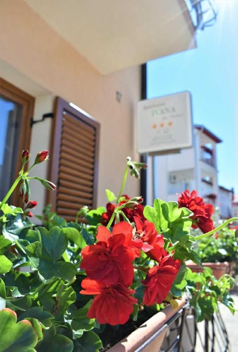 רוביני Apartments & Rooms Ivana חדר תמונה
